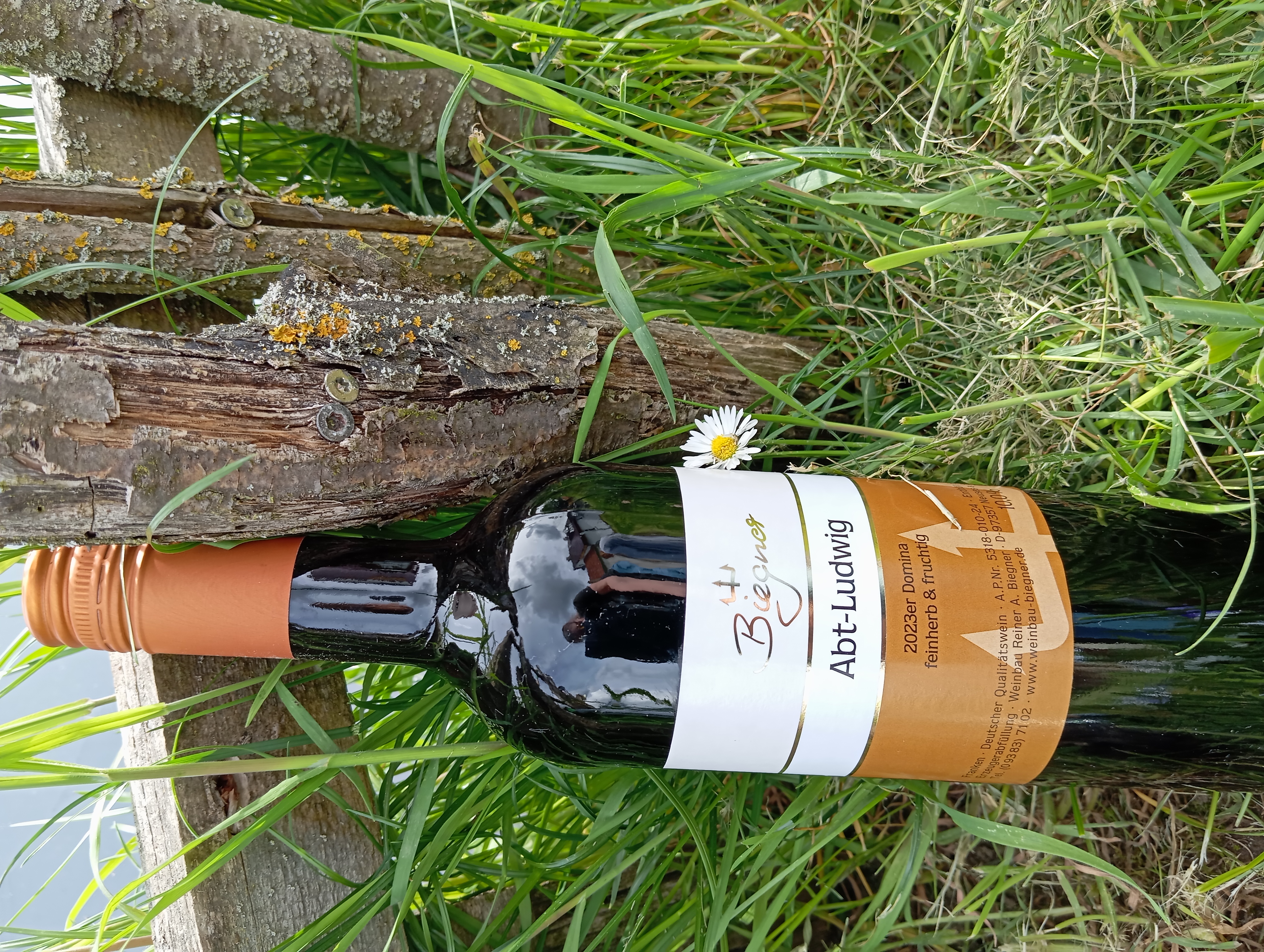 Rotwein