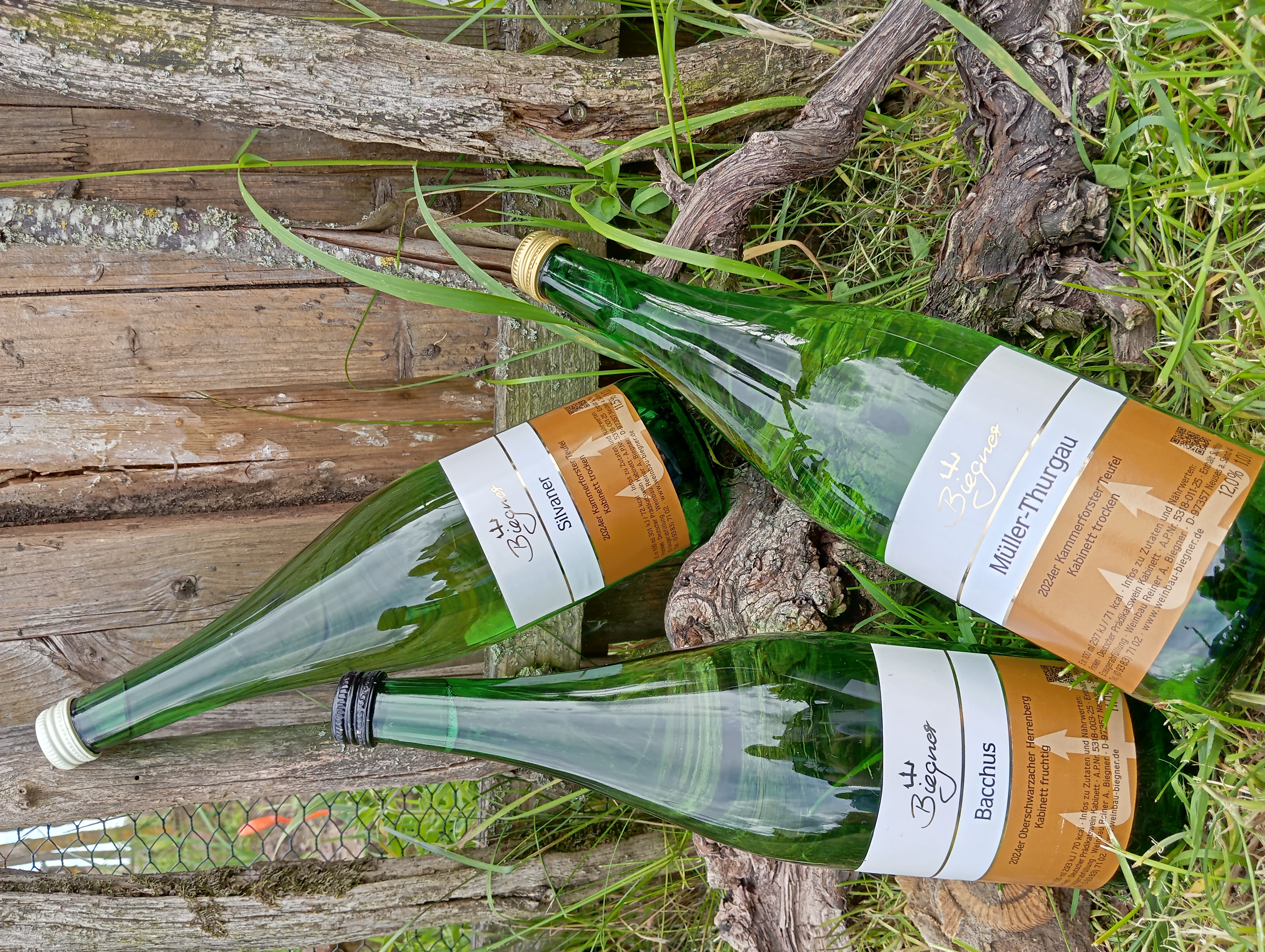 Schoppenweine