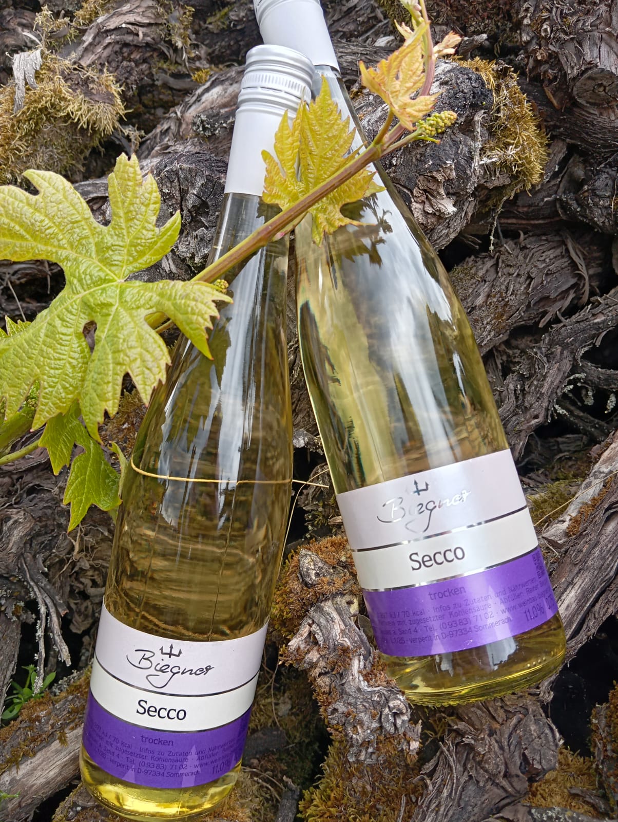 Secco & Sekt