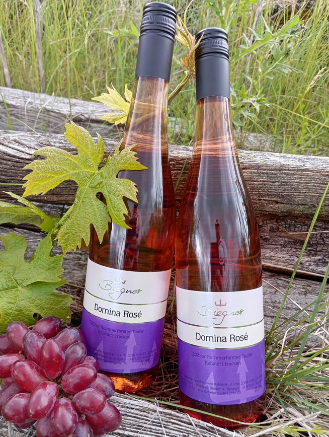 Domina Rose, Kabinett trocken