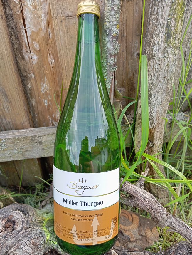 Müller-Thurgau, Kabinett trocken